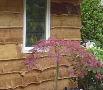 ��� ���������� ����� ������� ����������� ����?