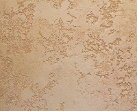 ���� � ����� �� ����� ����� ������������ ���������� � ������, ��� � ����������