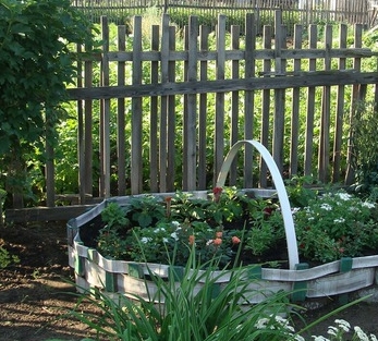 ������ ������ ������