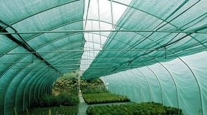 ���������� �������� ����� � �������������