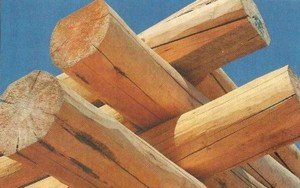 ��� ������, ���� � ������ ��������� �������?