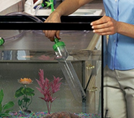 ������ ���������� �� ����