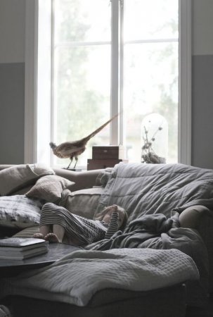 ��������� ������� ������ ������ �������� �� ������ �����