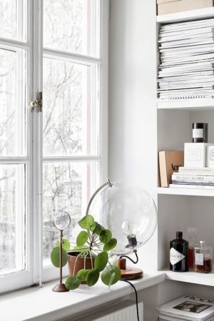 ��������� ������� ������ ������ �������� �� ������ �����