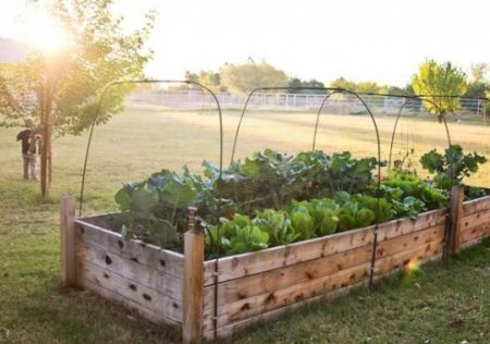 ������� ������: ����������� � ������������ ������ ������