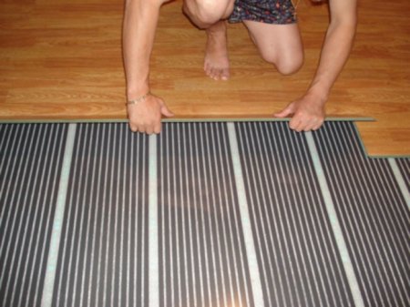 ������ ������������ ����