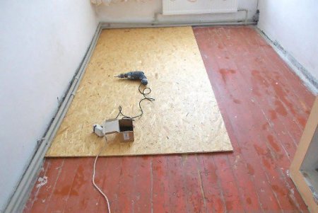 ������ ������������ ����