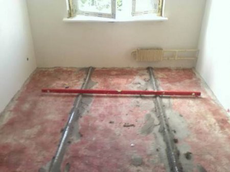 ������ ������������ ����