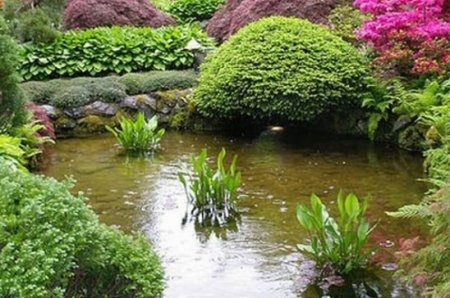 ������ ������������ ������� �������� � ������ �� ����������