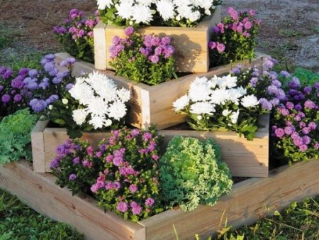 ������ ������ ������