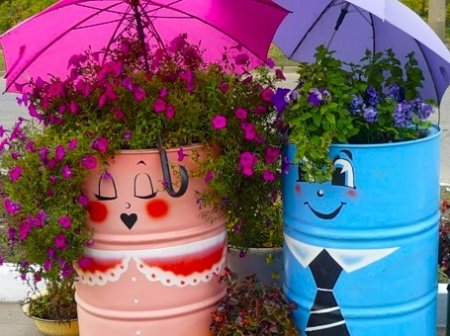 ������ ������ ������