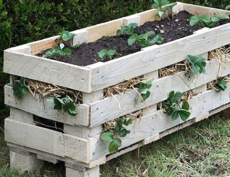 ������ ������ ������