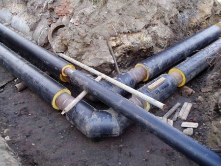 ����� � ������������������ ���������