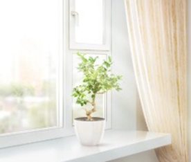 ���� �� ��� ����� ������