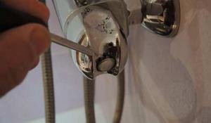 ������ ������� ������