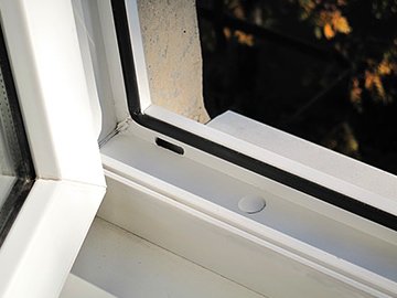 ����������� ����: ������������ � ����������� ���������� � ����