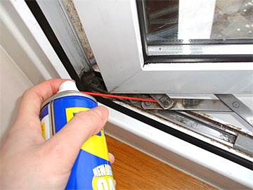 ����������� ����: ������������ � ����������� ���������� � ����