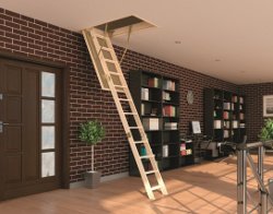 ��������� ��������: �������, ���� �����������