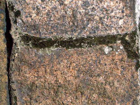 ��� ���������� � ������