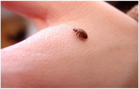 ��� ����������� ���� ��� �� ������