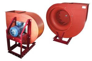 ���������� �����������: ��������� ������������ � ������ ������