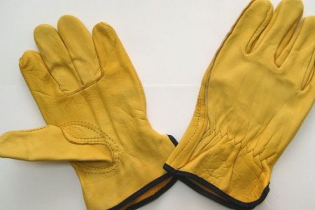 ������� ��������