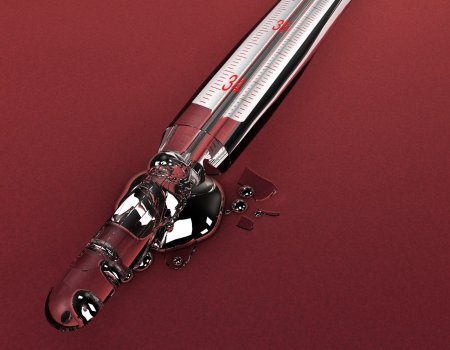 ������� ���������. ��� ������ ���� �� ��������?