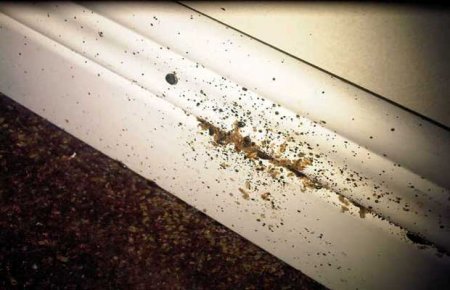 ��� ����������� ���� ��� �� ������