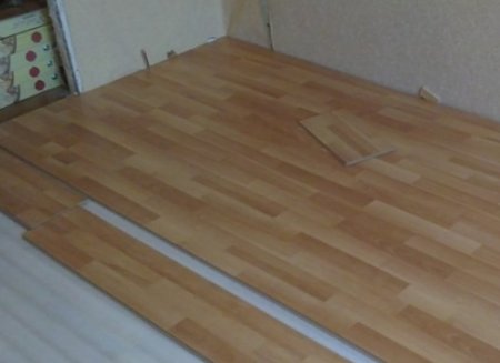 ������������� ������ ���� �� ��������