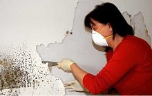 ������ ����� �� �������