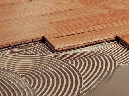 ����� ����� ������� ���� ��� �������