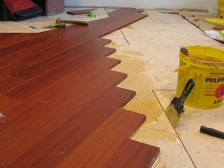 ����� ����� ������� ���� ��� �������