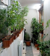 �������� ���������� �������