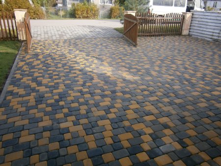 ������������ ���������������� ����� �����������