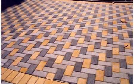 ������������ ���������������� ����� �����������