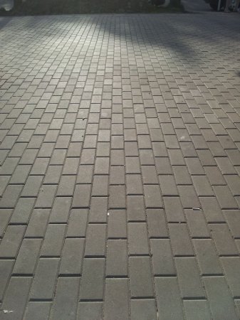 ������������ ���������������� ����� �����������