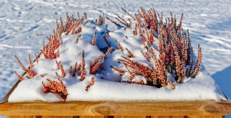 ����������� ������ � ������ ������