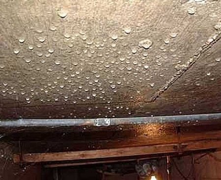 ��� ����, ���� � ������� ���������?