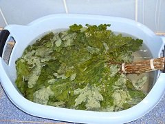 �������� ���������� ���������� ������