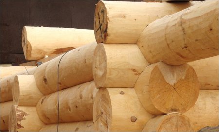 ������ ������� ������ ��� ����