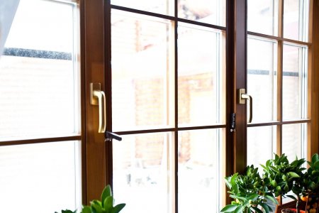 ����������� ���� �� ����