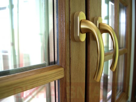 ����������� ���� �� ����