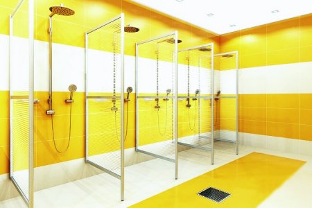 �������������� �����������: ����������� ����������