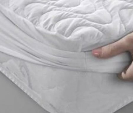 ���� �������������