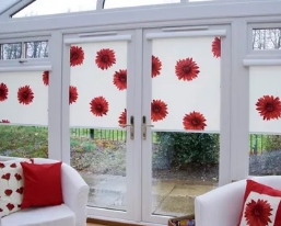 �������� ����� �� ����������� ����