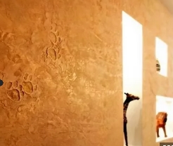 ��� � ������������ ����������