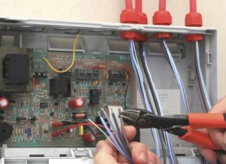 ��� ��������� ����������� ������������