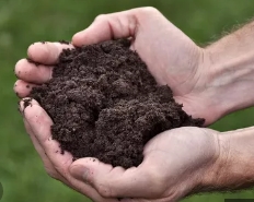 Как узнать свойства почвы на участке