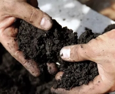Как узнать свойства почвы на участке