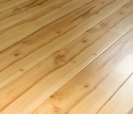 ���� ��������